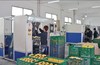 Wire drawing machine