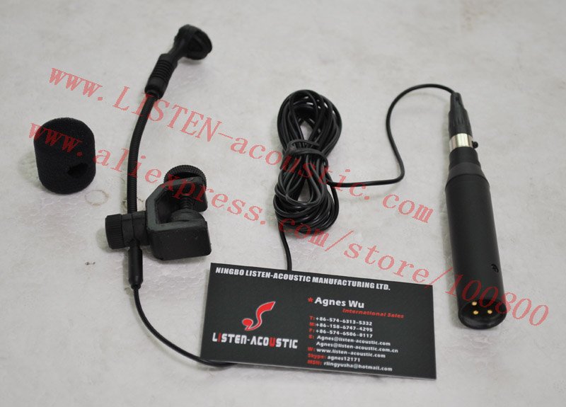 วง Microphone