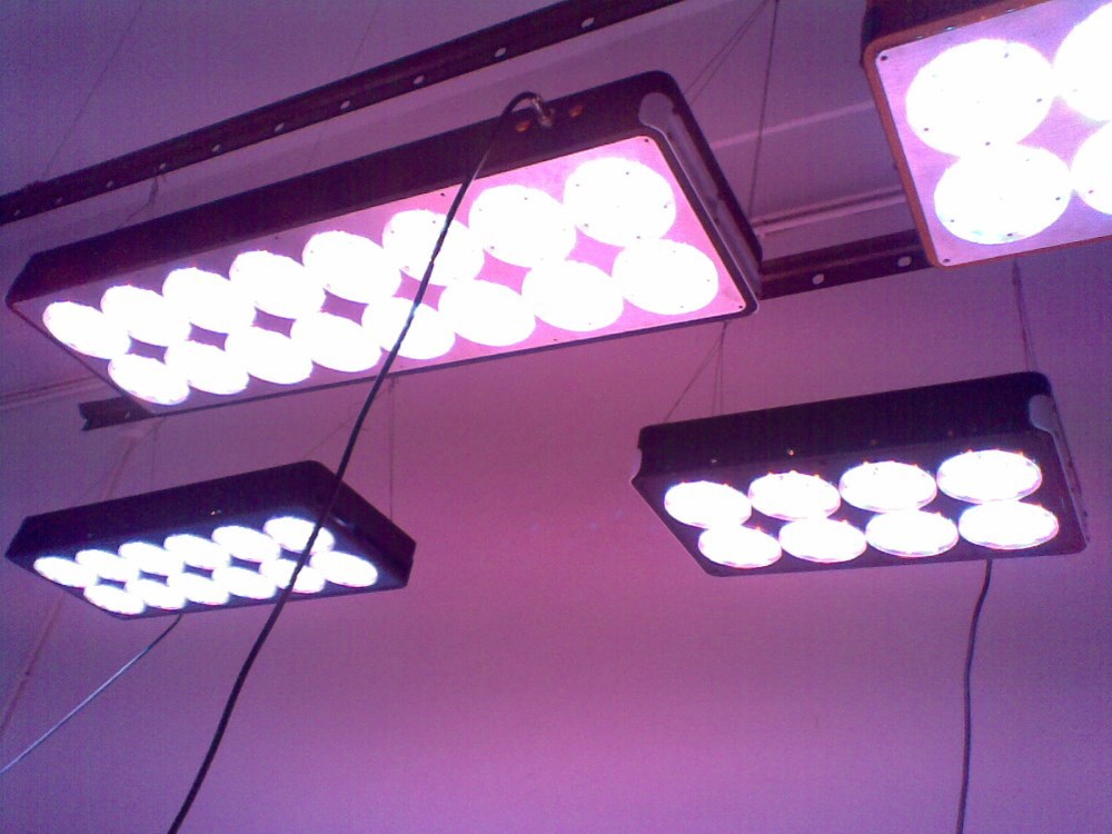 20110831(014)