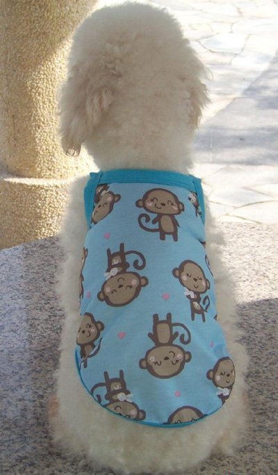  Wedding Wear on Clothes  Dog S Vest  Dog S Clothes With Monkey Prints In Dog Clothing