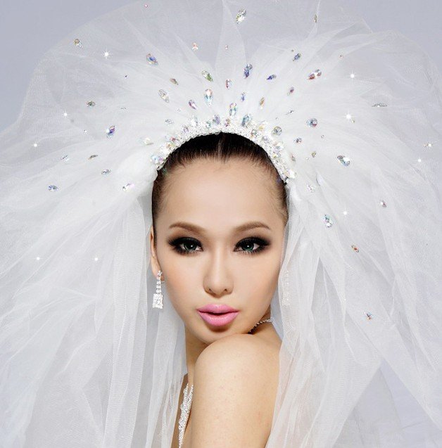 Free Shipping Bridal veilsbridal wedding veilbride dress veil
