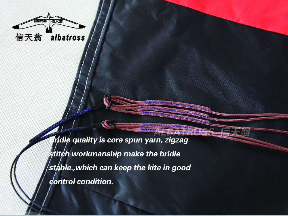 2013 NEW CHINESE 2.6M POWER KITE DUAL LINES TRAINER SURFING/SURF KITE/WHOLESALE PRICE/HOT SALE/FREE SHIPPING問屋・仕入れ・卸・卸売り