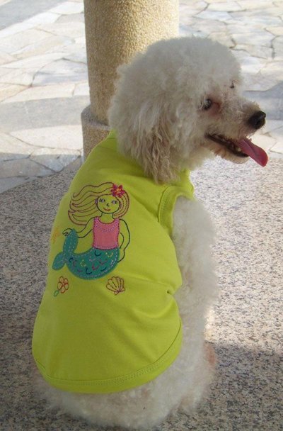 Wedding  Clothes on Cute Puppy Clothes  Dog S Vest  Dog S Clothes With Embroidery  Green