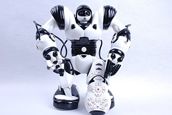 RC Robot Interactive Programmable Intelligent Walking Running Remote Robot TT313 