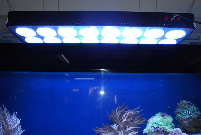 fish tank aquarium black light