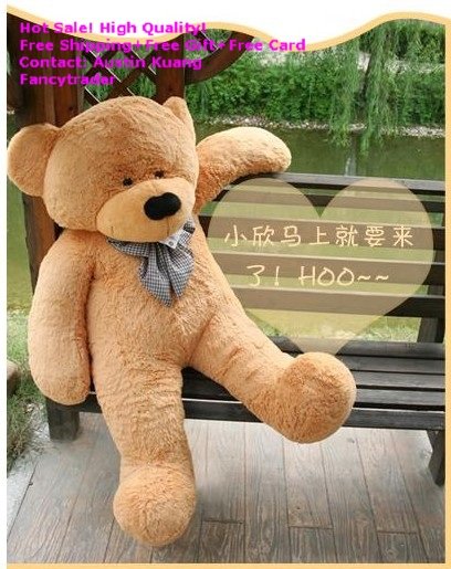 Teddy bear.....jpg