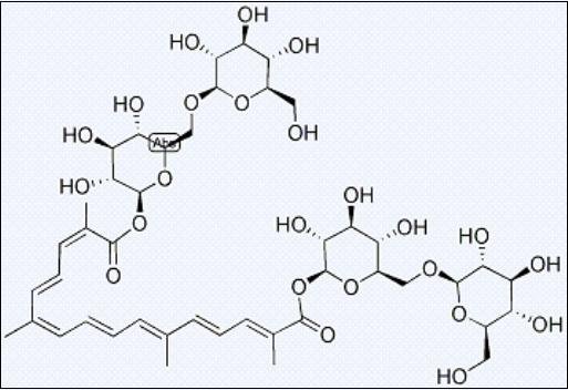 crocin extract /spring crocus extract /saffron extract/ Crocus sativus L. extract/ Stigma Croci etxtract/CAS NO.: 42553-65-1
