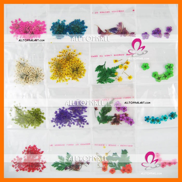 Hot Wholesale Free Shipping - Assorted Styles Real Flower Dried Flower Dry Flower for Nail Art Decoration 2.jpg