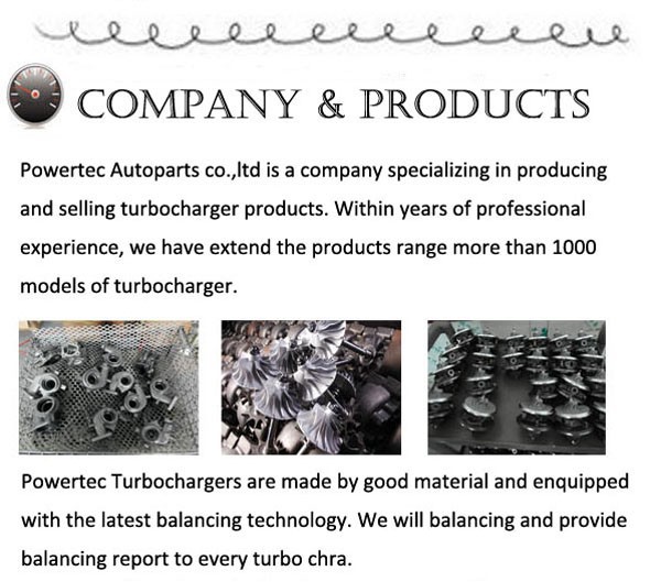 6. Company and products-1