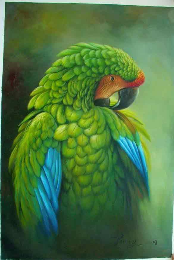 oil paintings of birds. bds082, irds oil paintings, 100% hand painted Art reproduction