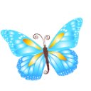 butterfly-blue-icon2.jpg