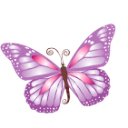 butterfly-purple-icon.jpg