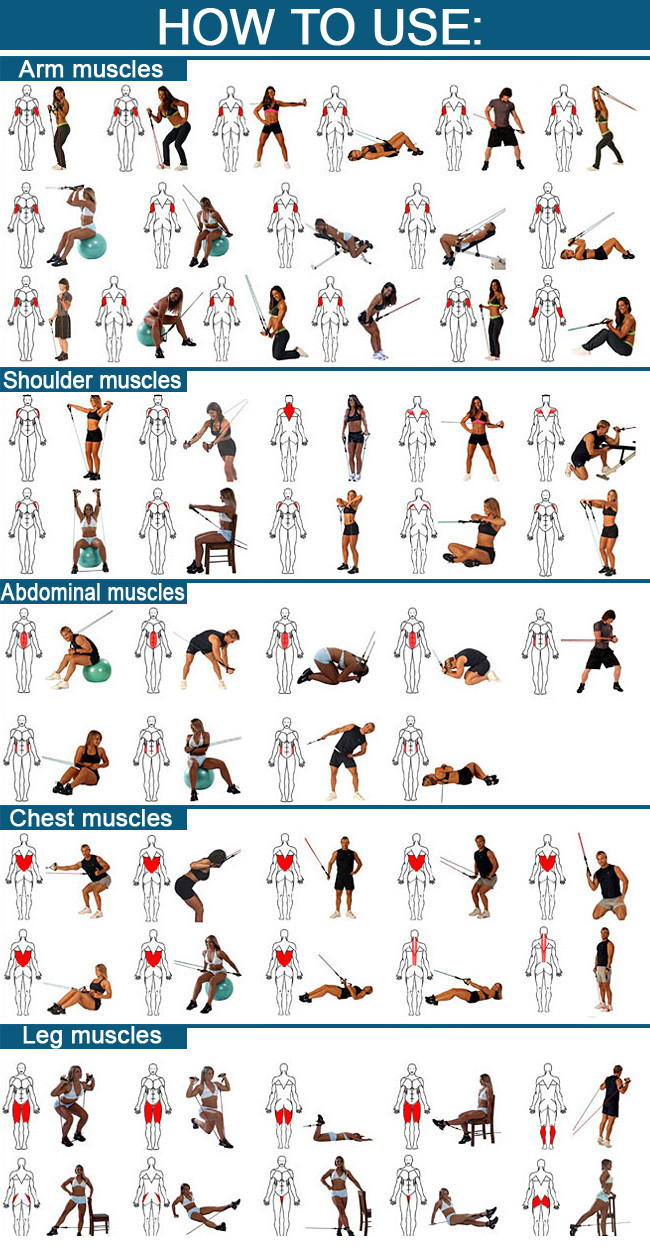 Resistance Exercise Programs