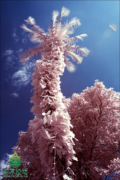 Фильтр для фотокамеры 55mm Infrared IR 850nm Filter for Nikon Canon Camera HE5C Фильтр для фотокамеры 55mm Infrared IR 850nm Filter for Nikon Canon Camera HE5C