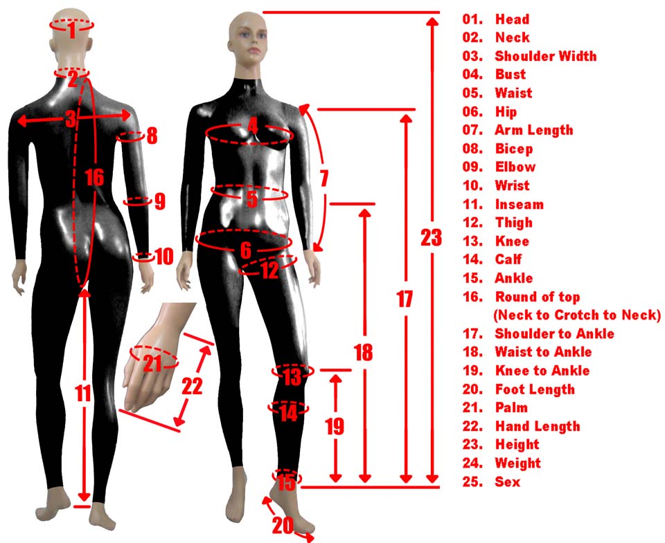ADDITIONAL MEASUREMENTS FOR WOMEN'S SHIRT SIZES