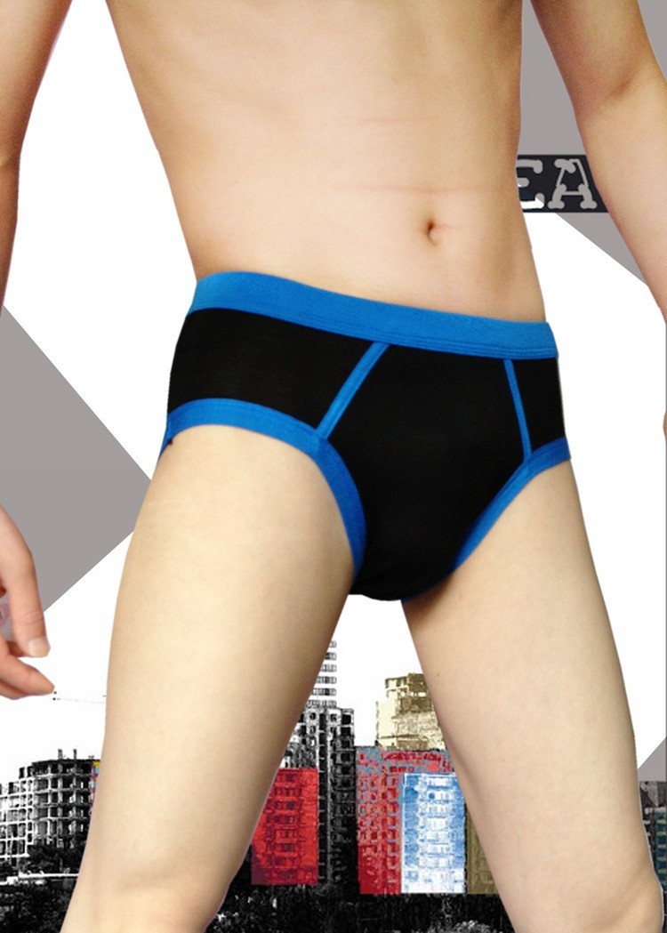 F07244-Men-s-Briefs-Shorts-Modal-Comfort-Waist-Underpants-Free-Shipping (2)