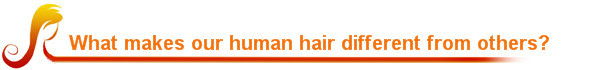 Premium quality tangle free Peruvian human hair glueless full lace wig with bangs問屋・仕入れ・卸・卸売り
