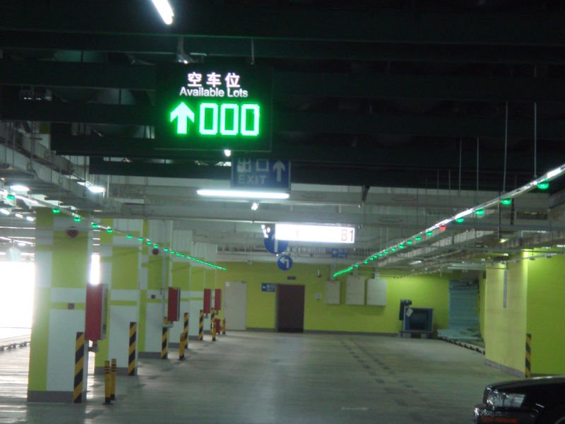DSC01546.jpg