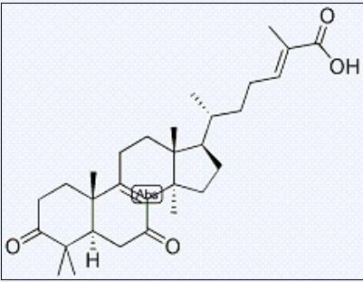 Ganoderma Lucidum Mushroom Extract