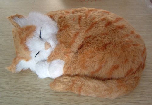 Sleeping Cat Toy