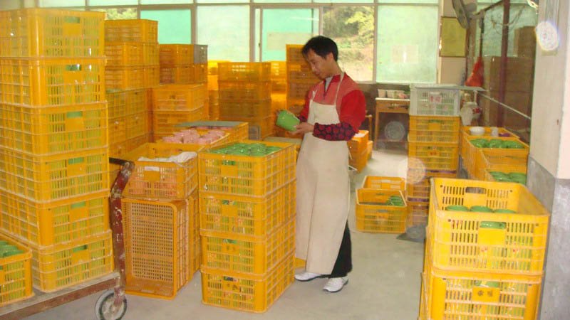 セラミック魚のつまようじホルダー問屋・仕入れ・卸・卸売り