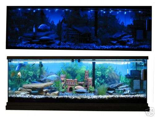 Aquarium Lighting