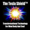 The_Tesla_Shield.summ.jpg