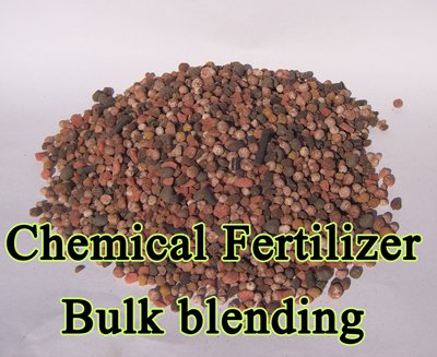 Best Organic Fertilizer