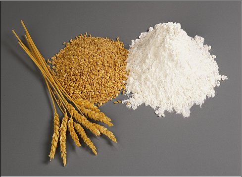 Wheat_Flour_High_Gluten_Wheat_Flour_Pollard.jpg