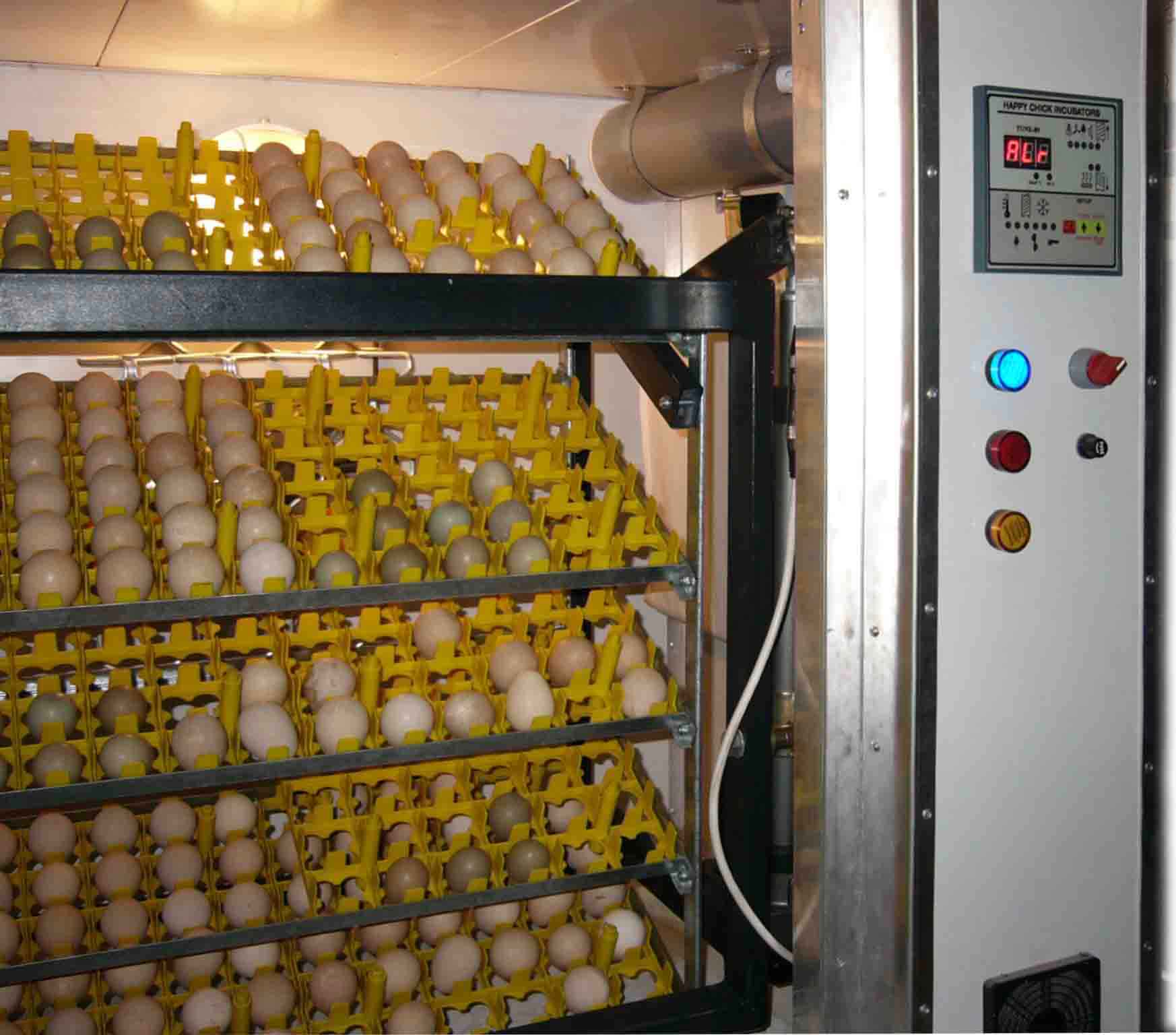 Incubator