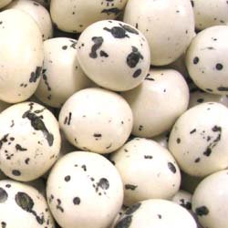 [Resim: Choco_Eggs.jpg]