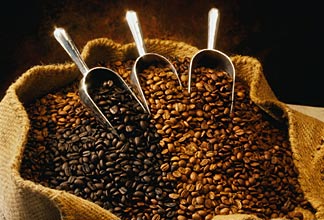 Coffee_Beans_Robusta_Excelsa_Liberica_and_Arabica.jpg