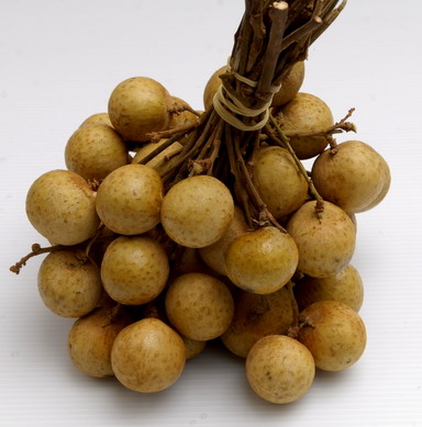 http://img.alibaba.com/photo/11149669/Fresh_Dried_Thai_Longan.jpg