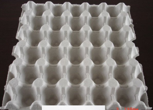 egg carton cast