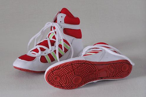 wrestling shoes