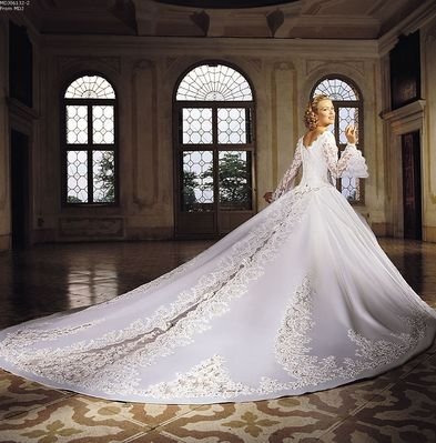 Long floor embroidery wedding gown