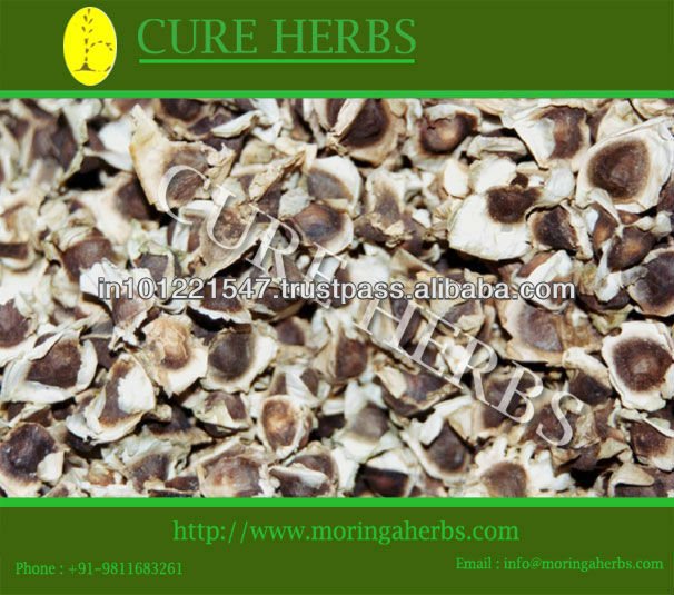 50 toneladas Moringa semillas para la exportación-Semillas 50 toneladas Moringa semillas para la exportación-Semillas