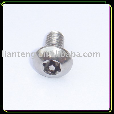 Αλλαγή στις βίδες της ζελατίνας Quality_Special_Stainless_Steel_304_Torx_Screw_with_pin_in_center