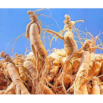 http://img.alibaba.com/photo/208782707/Ginseng_Extract_for_Cosmetic.jpg