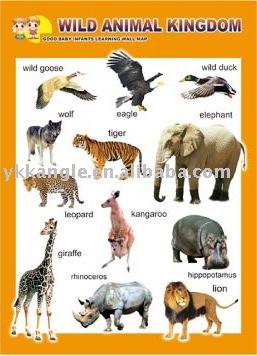 Wild Animals