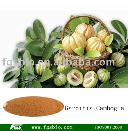 precio de extracto de garcinia cambogia ( p. E ) - spanish.alibaba.com