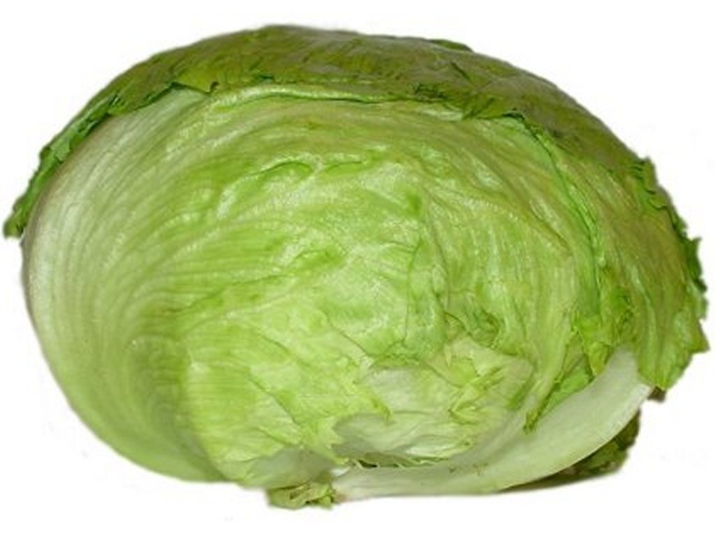 http://img.alibaba.com/photo/321452809/fresh_lettuce.jpg