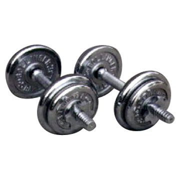 1_Chrome_Barbell_Plate_w_Words_on_Two_Surfaces_40lb_Set.jpg