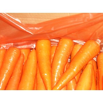 Fresh_Kept_Carrots.jpg