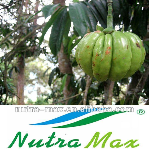 garcinia cambogia