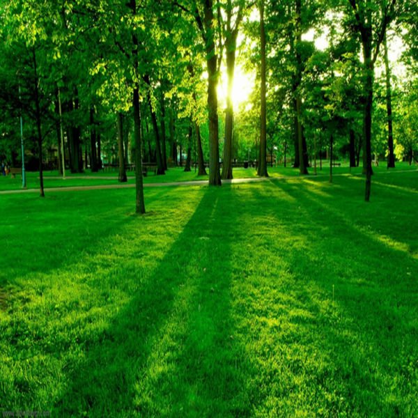 different_style_natural_scenery_printing
