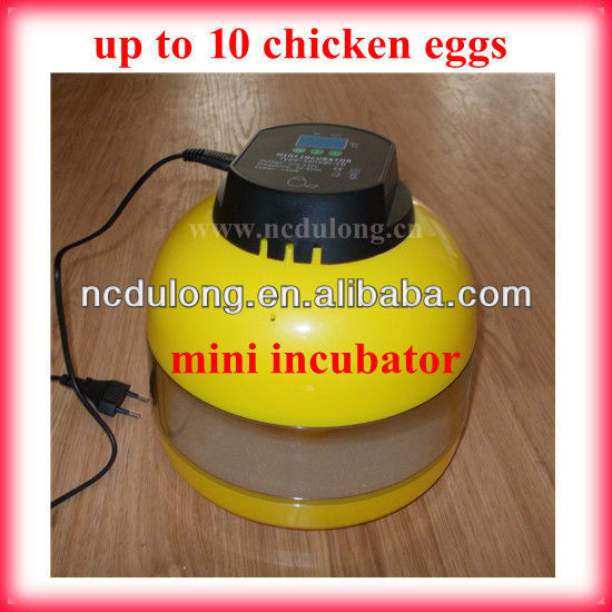 Small Chicken Egg Incubators