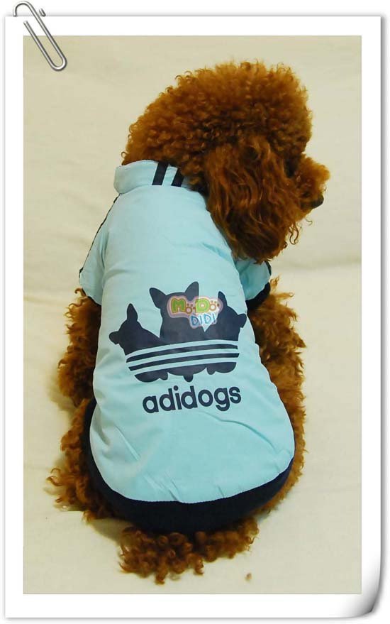 Hoodies For Dogs. Dogs hoodies, coats and vests.