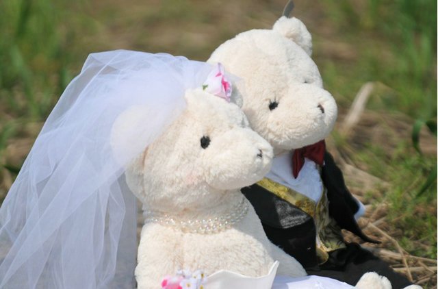 Married Teddy Bears