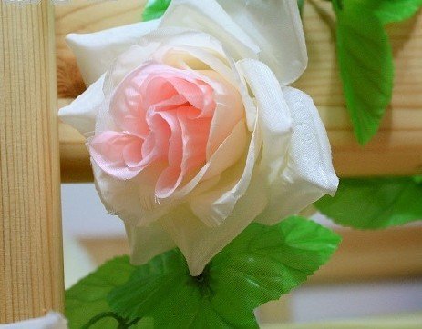 Free Delivery Flowers on Mixed Colors Rose Flower Head Diy Flowers Decor Flowers Free Shipping
